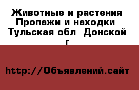 Животные и растения Пропажи и находки. Тульская обл.,Донской г.